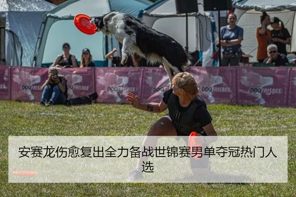 安赛龙伤愈复出全力备战世锦赛男单夺冠热门人选 - yaxin